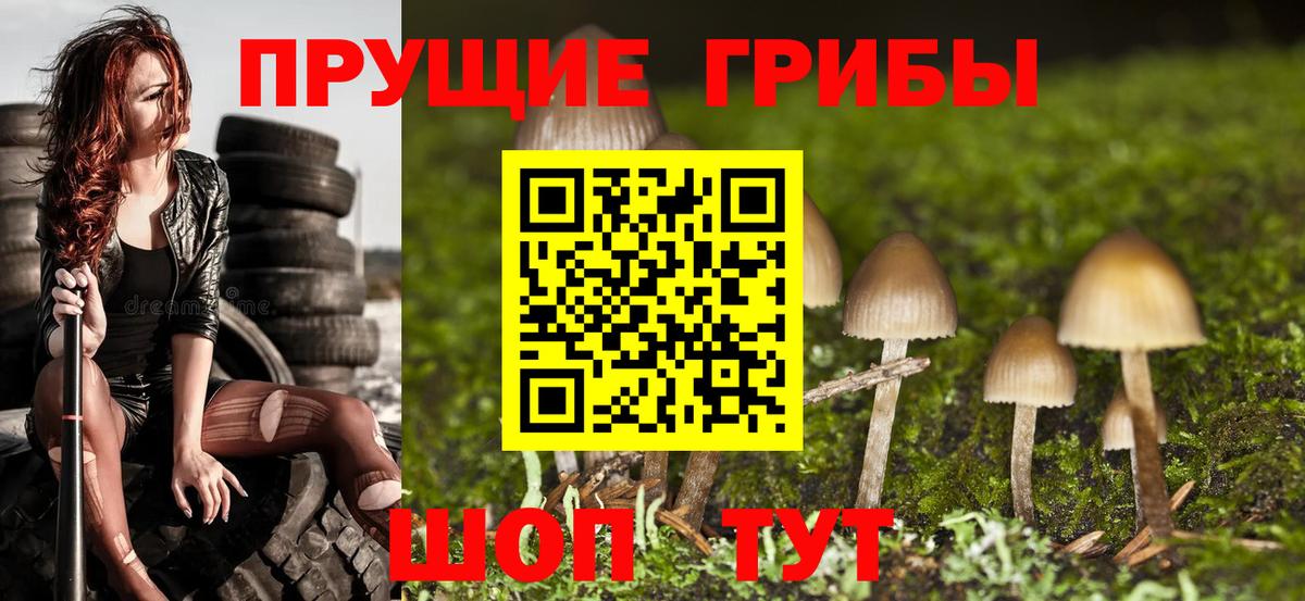 Псилоцибиновые грибы MAGIC MUSHROOMS  Псилоцибиновые грибы Psilocybine cubensis  Вход с VPN  Калач-на-Дону 